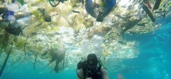 塑料已“占領(lǐng)”北極 研究稱北極冰芯含大量PA612塑料